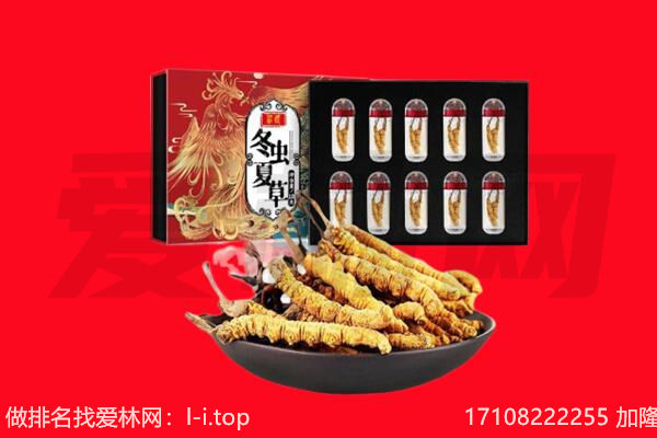 东莞市中堂镇回收虫草.jpg